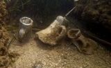 Àmfores trobades a la costa albanesa Àmfores trobades a la costa albanesa