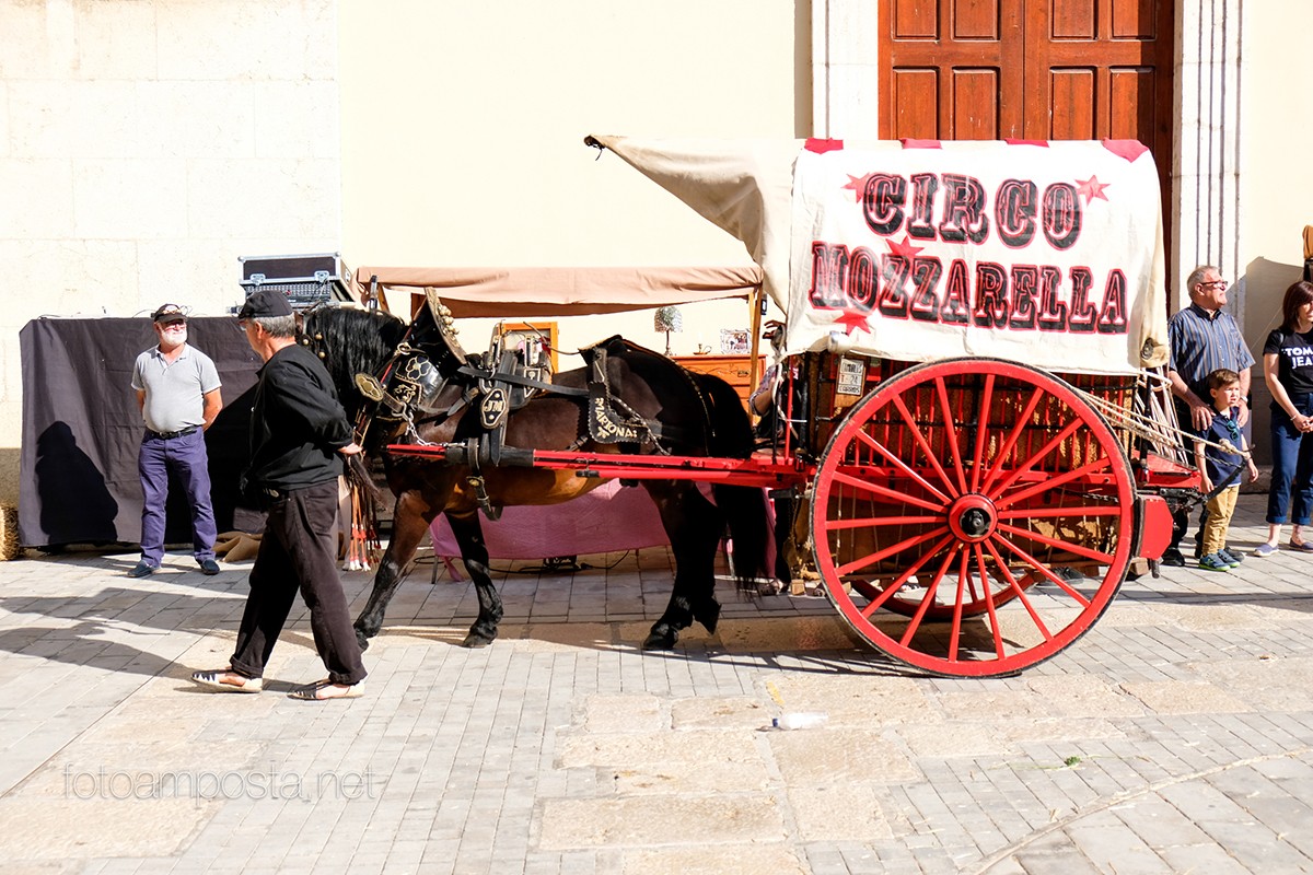 Circ a la Festa del Mercat a la Plaça