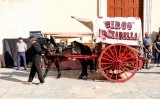 Circ a la Festa del Mercat a la Plaça