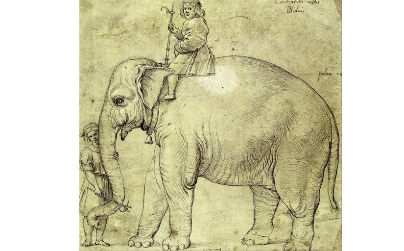 Лев 10. Лев x. elephant bone color.