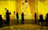 Klimt, a l'IDEAL Klimt, a l'IDEAL