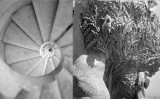 Dues fotografies de Joaquim Gomis del 1946 de la Sagrada Família: escala de cargol d'una de les torres i detall de la representació de 'L'arbre de la vida'