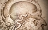 mental illness history of treatments 1536x864 mental illness history of treatments 1536x864
