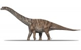 Recreació de l'aspecte en vida de l''Abditosaurus kuehnei' Recreació de l'aspecte en vida de l''Abditosaurus kuehnei'