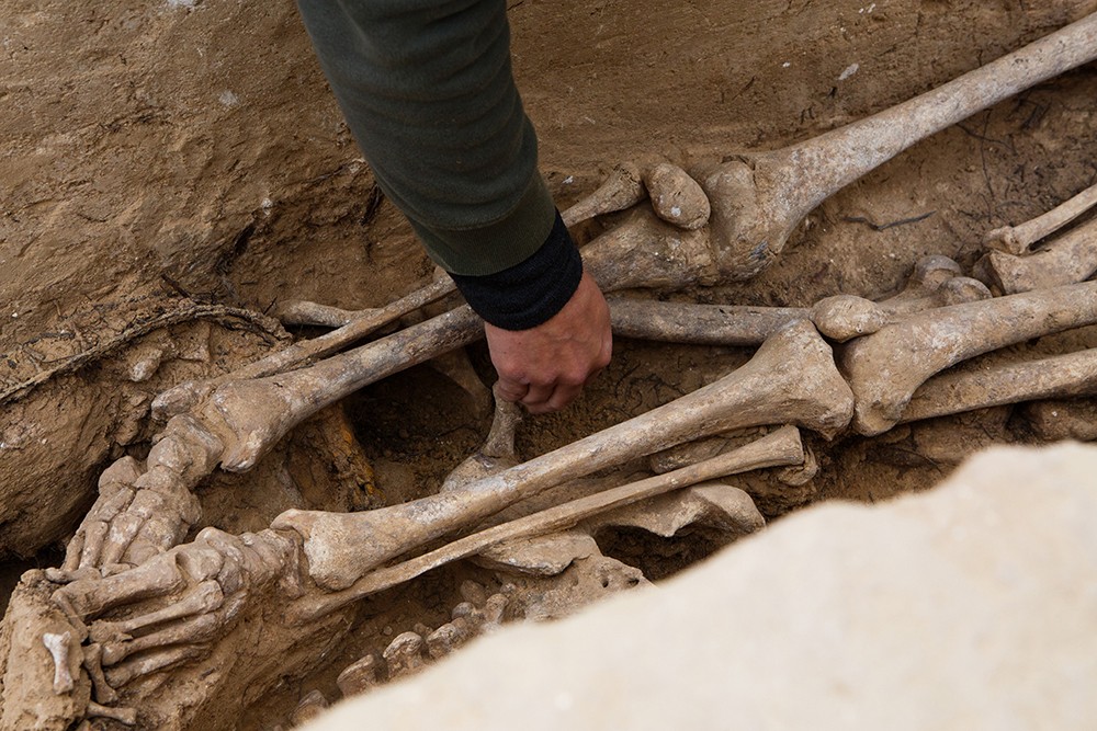 Restes òssies excavades a la fossa del mas de Santa Magdalena Restes òssies excavades a la fossa del mas de Santa Magdalena