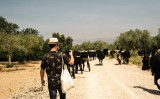 La 'Caravana Delta' acompanya la transhumància al delta de l'Ebre