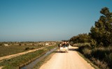 La 'Caravana Delta' acompanya la transhumància al delta de l'Ebre