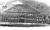 Factoria africana Factoria africana