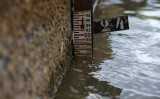 Amb els anys, la meteorologia ha deixat endarrere els precs Amb els anys, la meteorologia ha deixat endarrere els precs