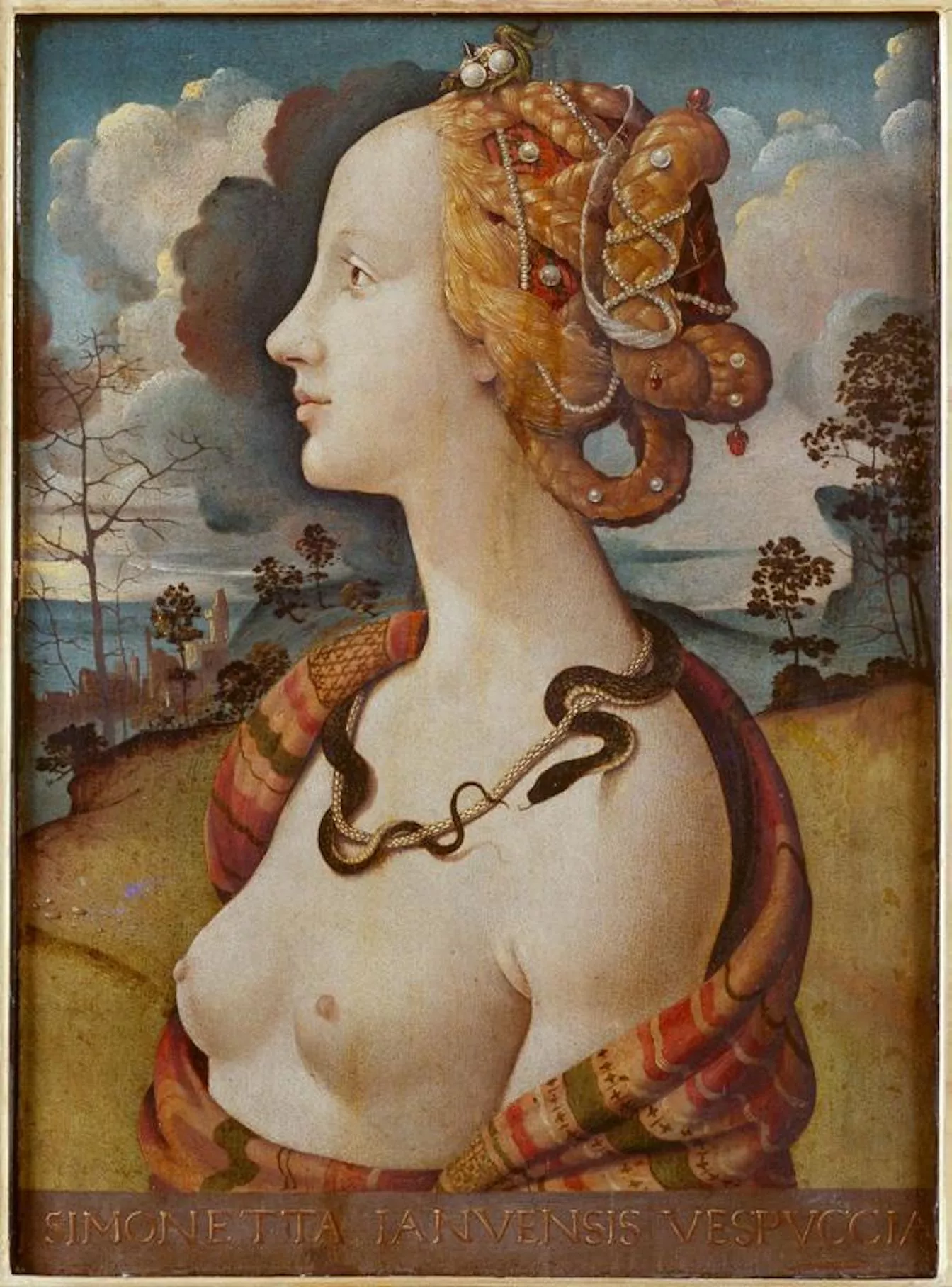 Retrat de Simonetta Vespucci