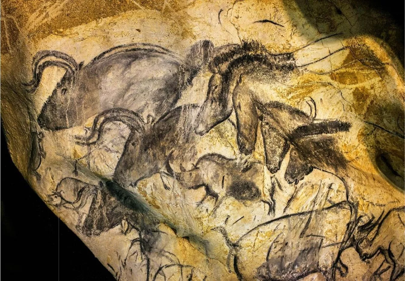 Pintures rupestres de la cova de Chauvet, al sud de França