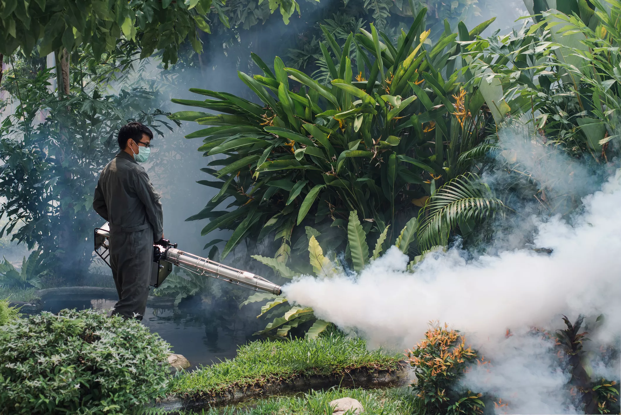 Un home prova d'eliminar mosquits per aturar la propagació del dengue i el virus zika