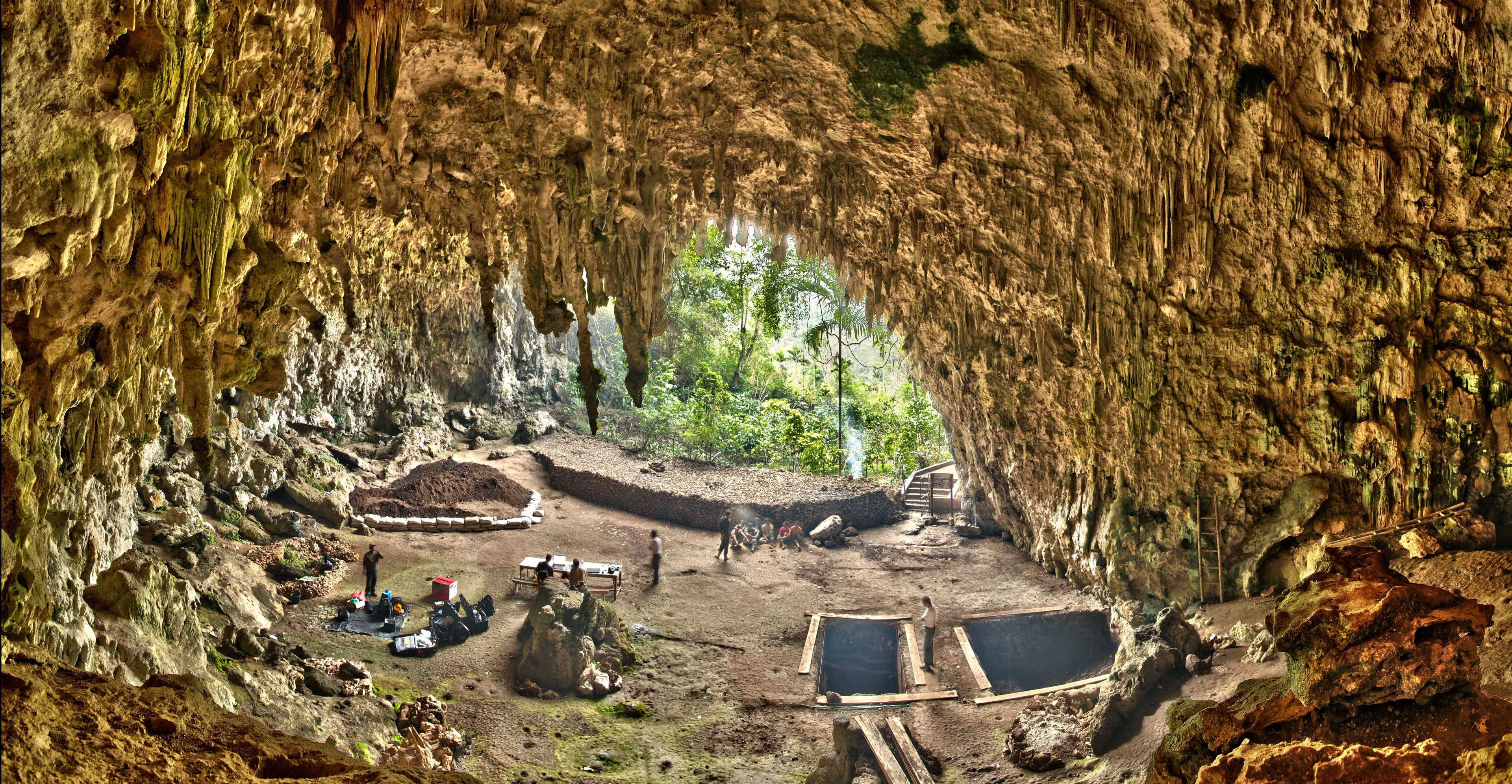 A la cova Liang Bua de l’illa de Flores, a Indonèsia, van aparèixer les restes dels primers homínids nans, que van revolucionar els esquemes de la paleontologia