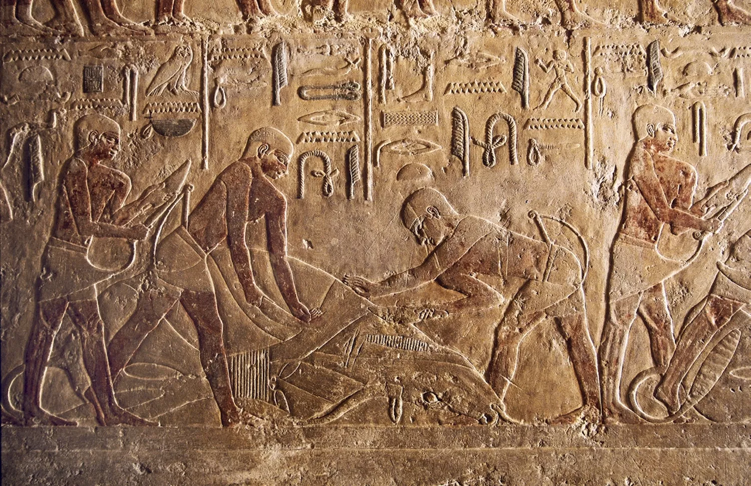 Relleu on es representa el sacrifici ritual d’un brau, esculpit a la tomba o mastaba de Ti, a Saqqarà