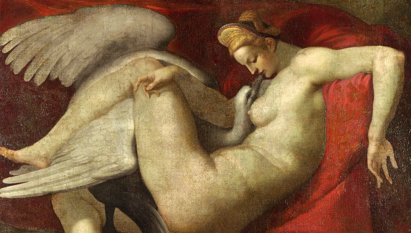 Segons la mitologia grega, la princesa Leda va ser violada per Zeus, que va adoptar forma de cigne