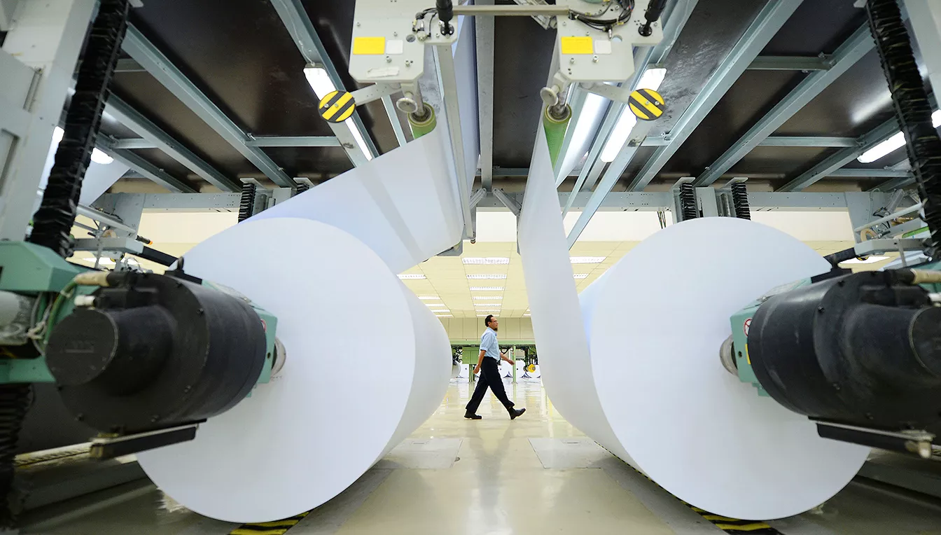 La producció de paper i cartró a tot el món ha crescut al voltant de 415 milions de tones, des del 2015