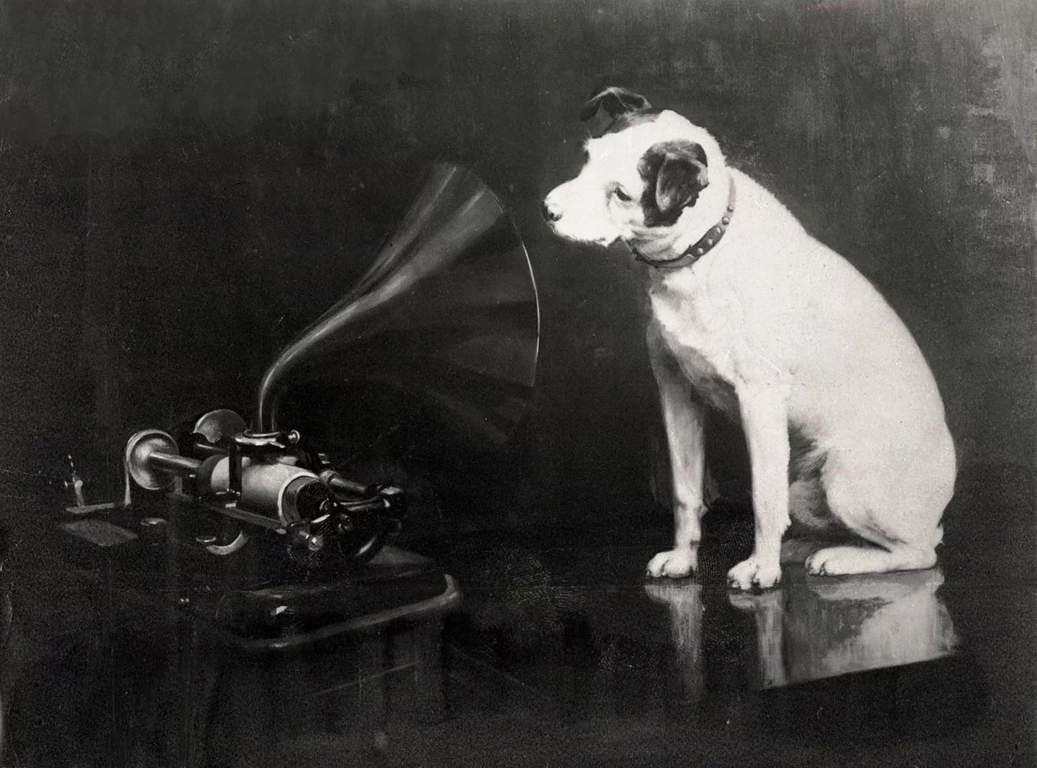 Pintura d'un gos escoltant la música que surt d'un fonògraf