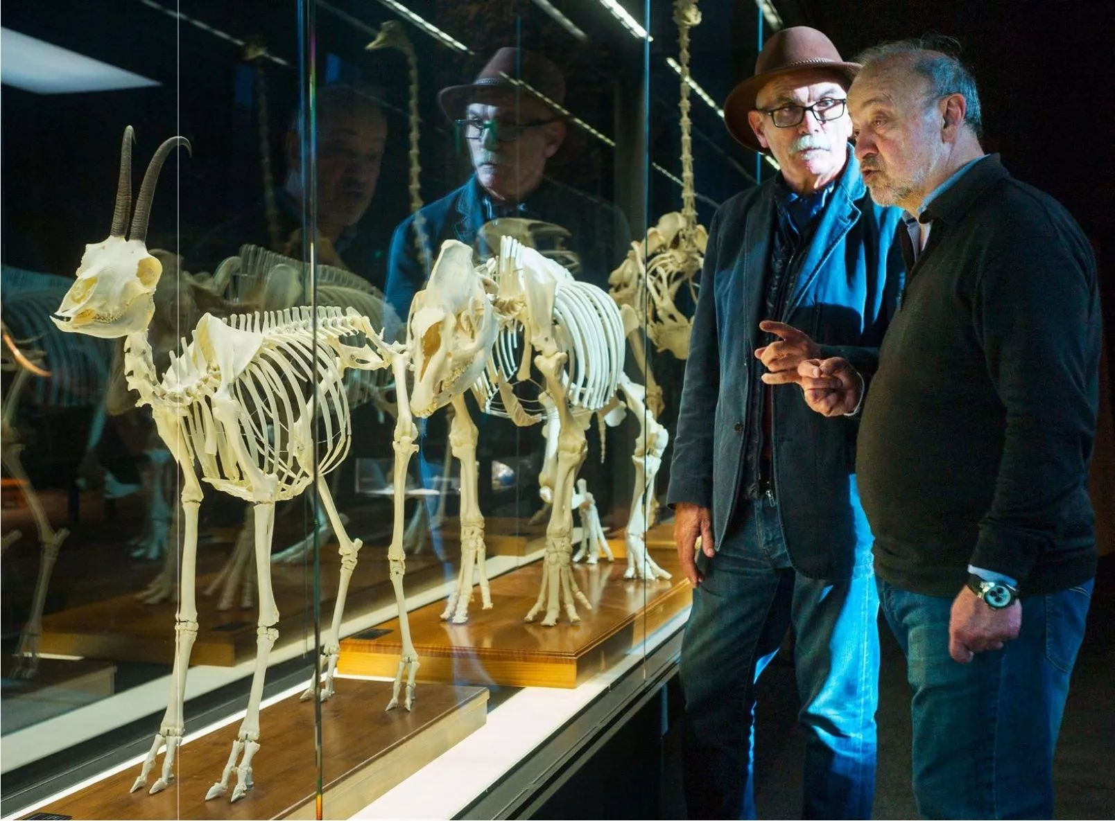 Carbonell i Agustí van conversar amb 'Sàpiens' tot visitant l’exposició del Museu Blau de Barcelona, que presenta un recorregut per l’evolució conjunta de la vida i la Terra