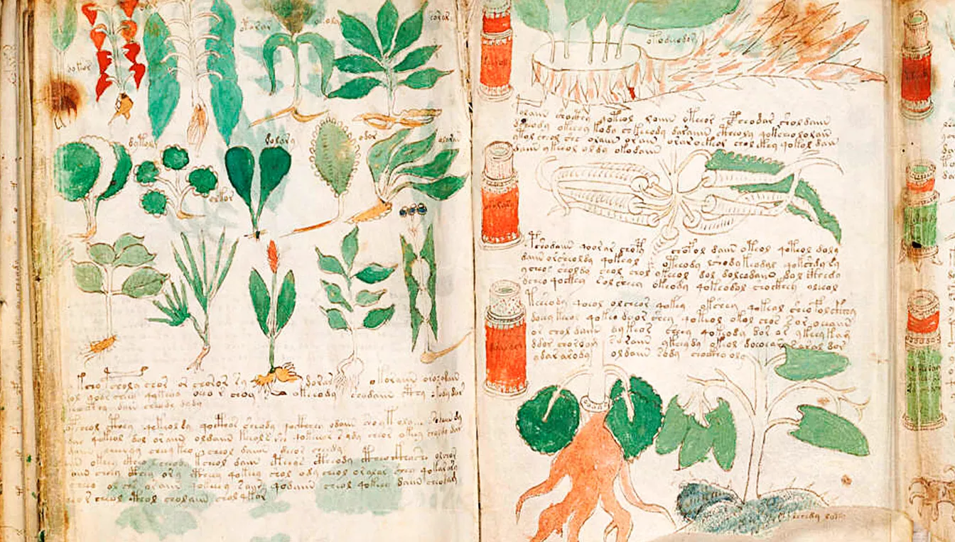 El  manuscrit Voynich
