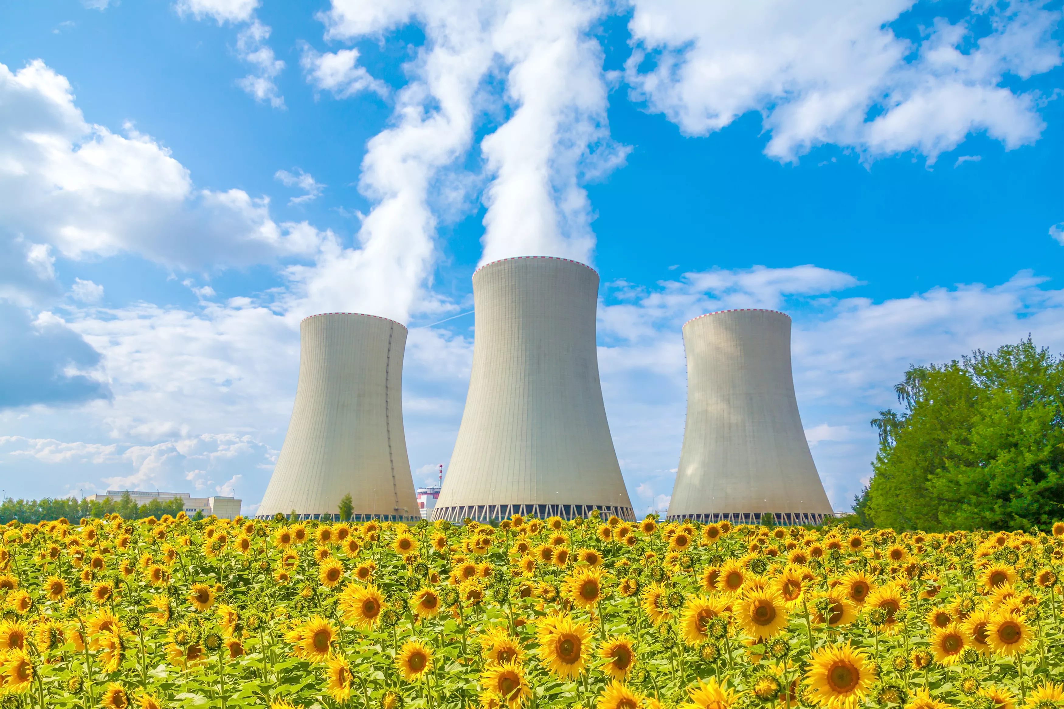 A principi de febrer del 2022, la Comissió Europea va aprovar la catalogació del gas i la nuclear com a energies verdes per a la transició ecològica