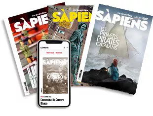 subscription sapiens mix