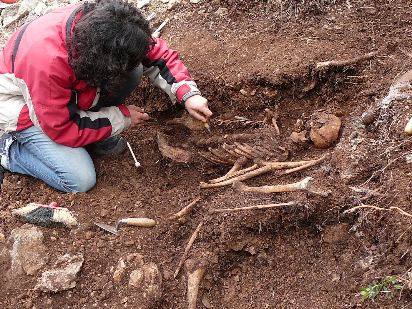 A  la serra de Riés (Alt Penedès), el 2014 s’hi van localitzar dues fosses amb les restes òssies de 4 individus i alguns objectes bèl·lics