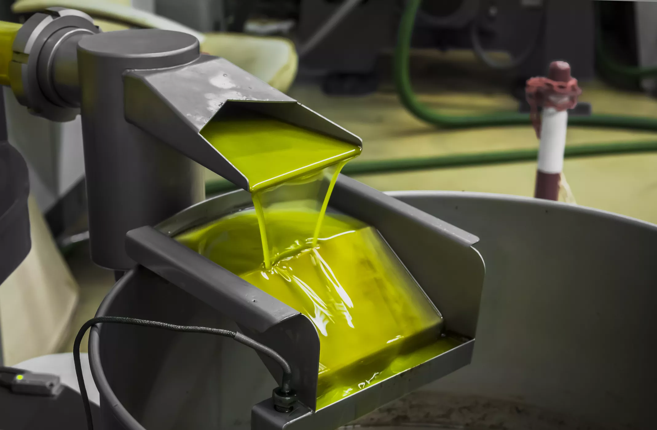 El director general de la CAT, José María Romero González, va denunciar la desaparició de quatre milions de quilos d’oli d’oliva, valorats en més de 150 milions de pessetes