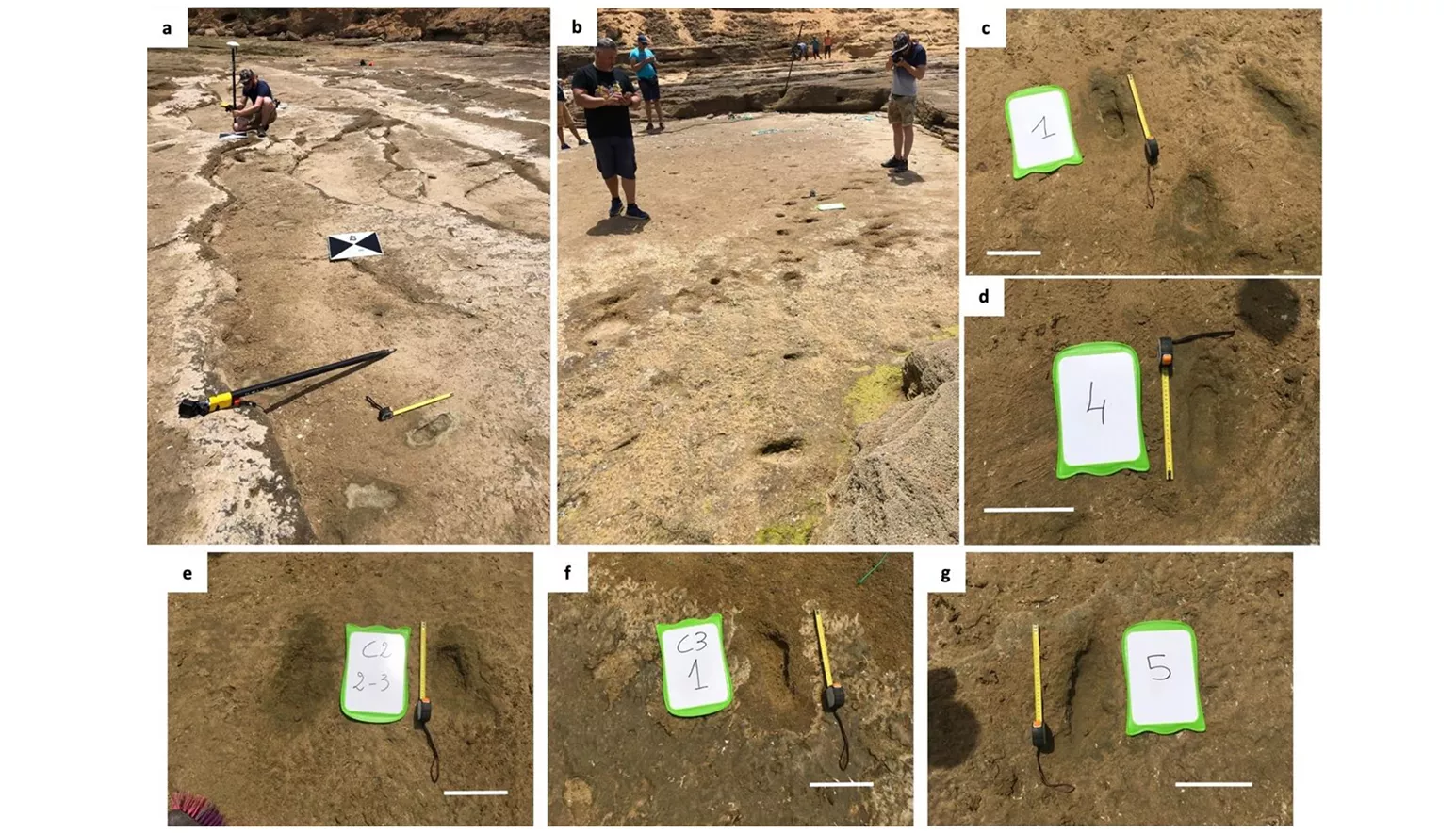 Vuitanta-cinc petjades de 90.000 anys d'antiguitat han estat localitzades en una platja del Marroc