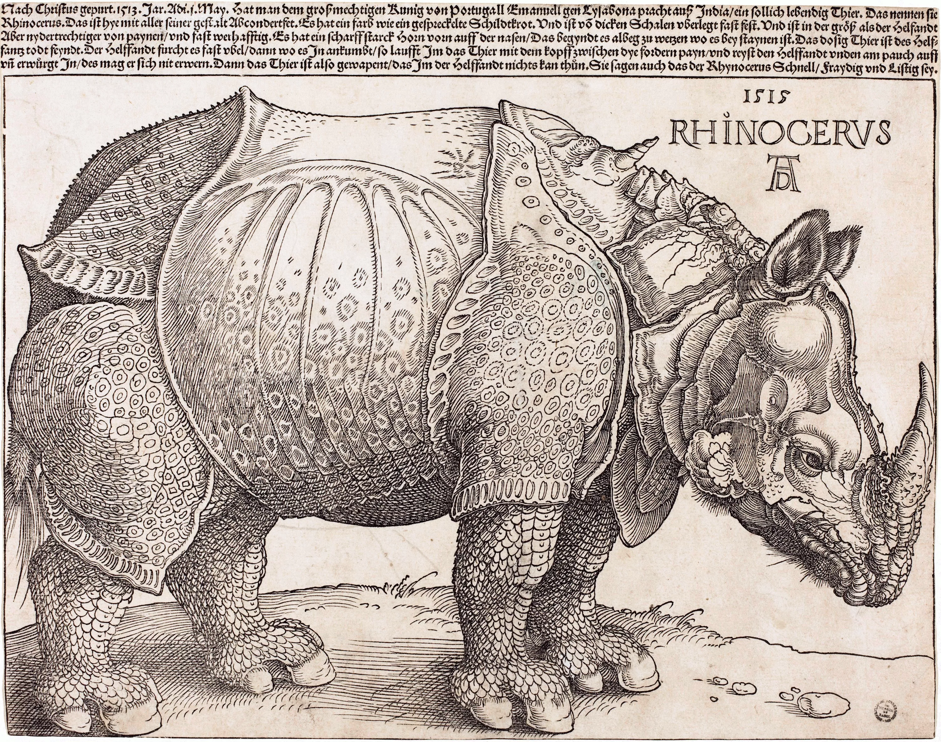 'El rinoceront', de Albrecht Dürer
