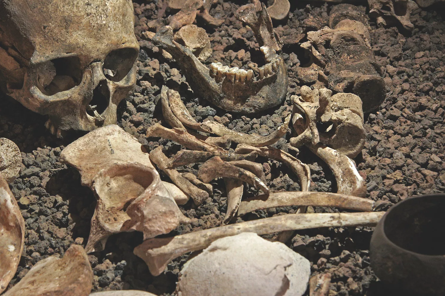 Restes humanes neolítiques trobades dins una de les mines. Moltes d’elles, un cop exhaurit el mineral, eren reutilitzades com a tombes