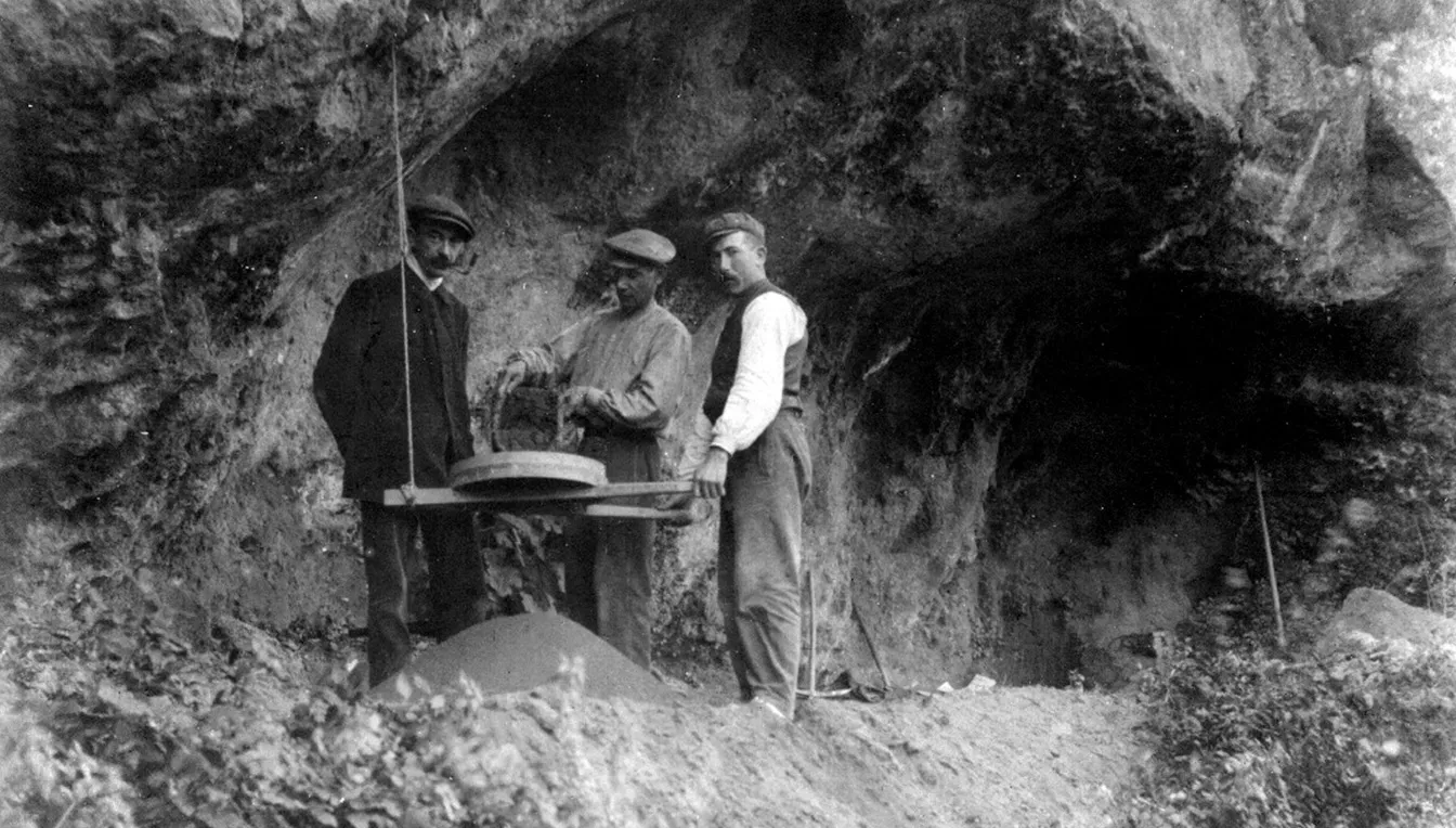 La particular tipologia del sediment de l’Abric, compost de carbonats, ha afavorit la conservació de fòssils animals i vegetals
