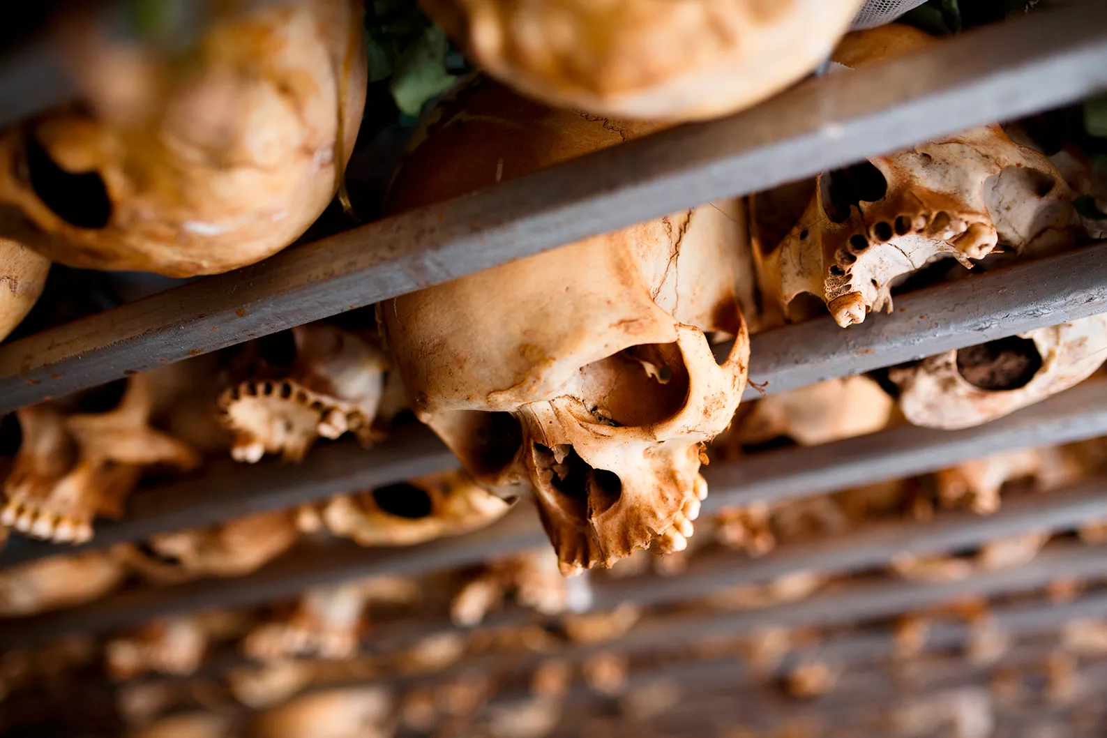 Més de tres-cents cranis van ser trobats en una capella, el 6 de novembre de 1994, a Ruanda