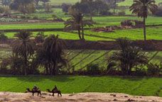 L’oasi de Fayoum