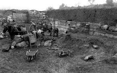 Primeres excavacions al jaciment iber d'Ullastret