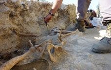 Esquelet d'un soldat republicà a la Fatarella -  Associació 'Lo riu'