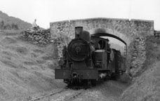 Tren d'Olot a Girona -  Joan Victori