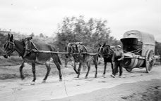 Carro de torn de quatre bocois de Sarral. -  Museu de la Vida Rural