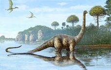 El sauròpode era un dinosaure herbívor, quadrúpede i amb coll llarg