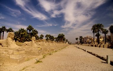 Filera d'esfinxs davant del temple de Luxor -  cgonsalv / Shutterstock