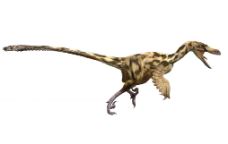 Reconstrucció de dromeosàurid -  Óscar Isidro / ICP