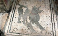 El mosaic 'Cave Canem' de Pompeia abans de la seva restauració -  Wikimedia Commons