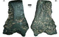 Fragment de la destral més antiga, trobada a Austràlia, vist al microscopi -  Australian Archaeology