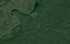 La zona de la suposada troballa, al Yucatán, vista amb Google Maps