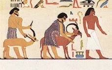 Sacrifici de cabres en una tomba de la dinastia XII d'Egipte