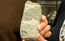 Estromatòlits fòssils de 3.700 milions d'anys trobats a Groenlàndia -  UOW