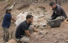 Els arqueòlegs treballant al jaciment de Morella
