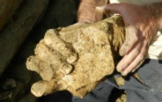Fragment d'una escultura del temple romà de Llívia -  UAB-ICAC