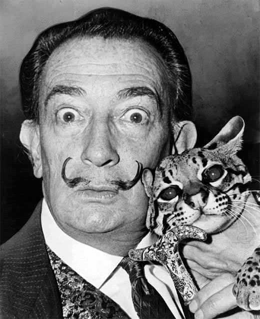 Dalí amb la seva mascota, l'ocelot Babou (1960) Dalí amb la seva mascota, l'ocelot Babou (1960)