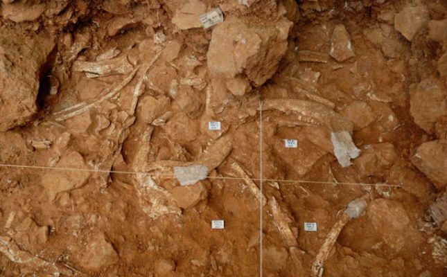 Jaciment de Gran Dolina, a Atapuerca Jaciment de Gran Dolina, a Atapuerca