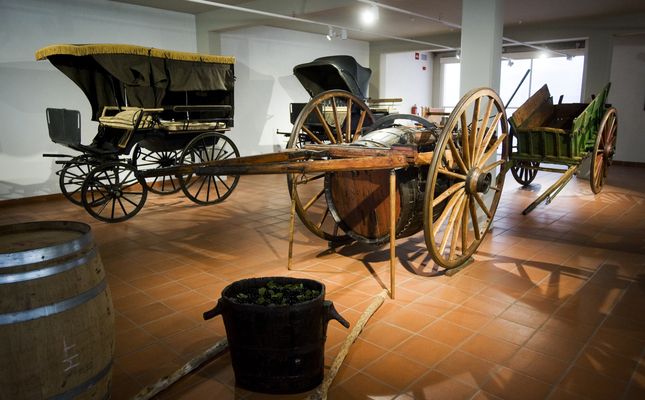 Carros exposats al Museu de la Vida Rural de l'Espluga de Francolí -  Museu de la Vida Rural de l'Espluga de Francolí